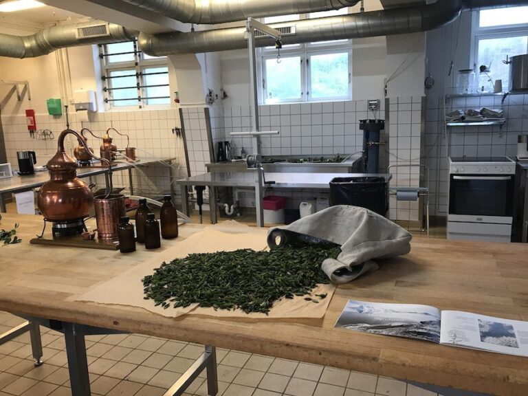 InuaCare Workshop in Qaqortoq 768x576