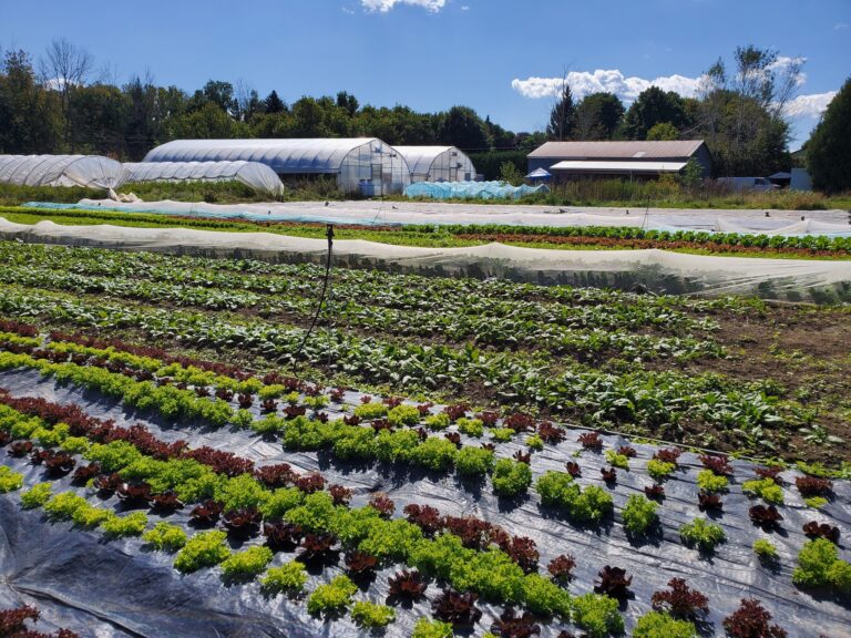 380182565 1638205236674469 4855998941658791320 n 768x576