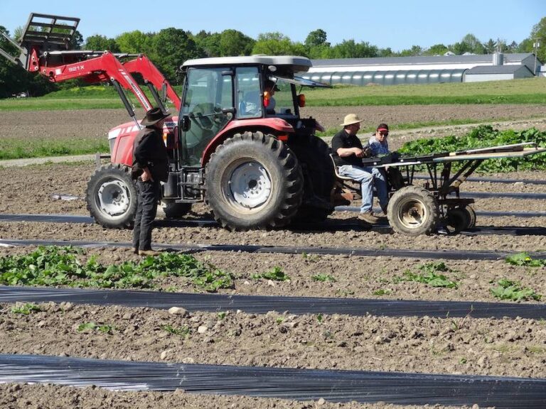 At work at Coburn Farm 768x576