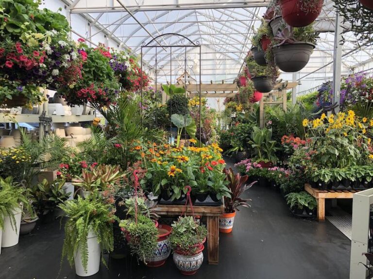 Beyond the House greenhouse 768x576