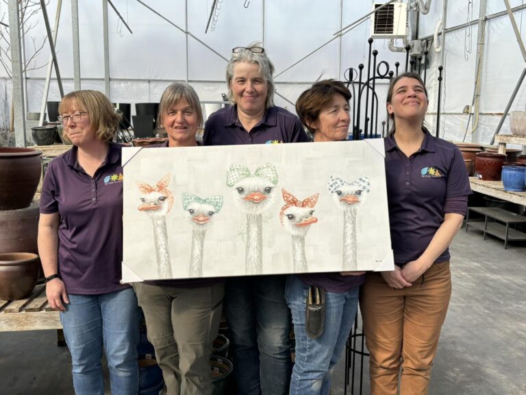 Beyond the House ostriches 768x576