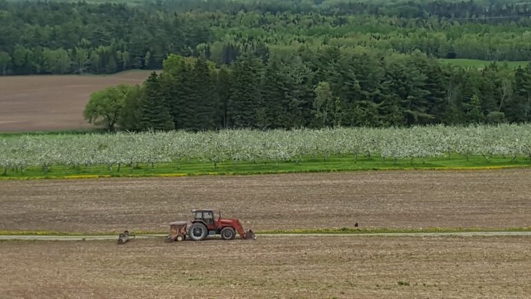 Coburn Farm 768x432