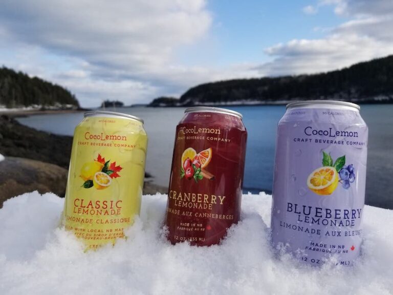 CocoLemon trio in the snow 768x576
