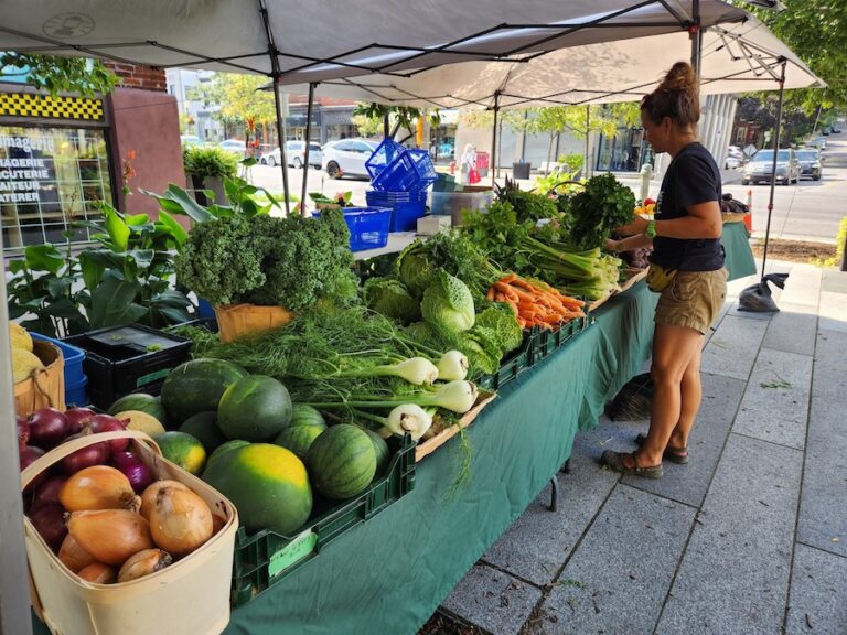 Completement Legume farm stand 768x576