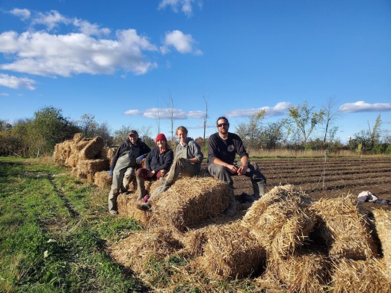 Completement Legume farmers 768x576