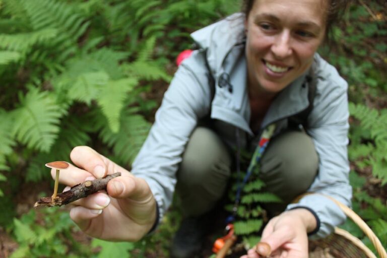 Discovering mushrooms 768x512