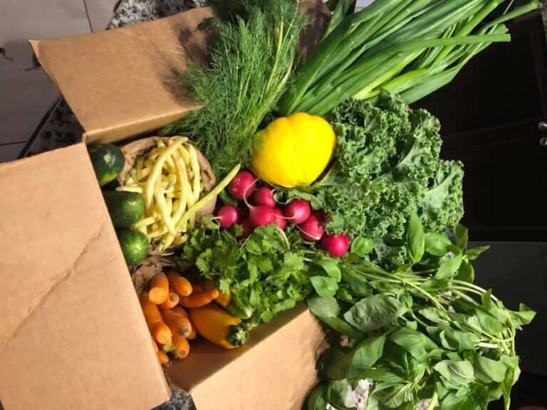 Fresh produce in the North with Arctic Fresh 768x576