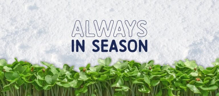 GoodLeaf Farms always in season 768x337