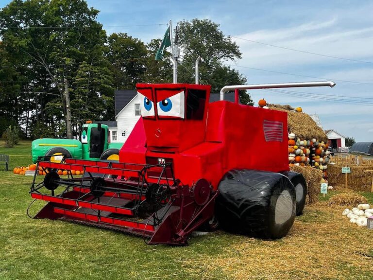 Halloween at Coburn Farm 768x576