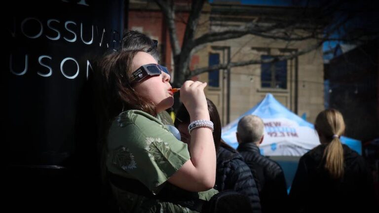 Maple Pollipop and the eclipse 768x432