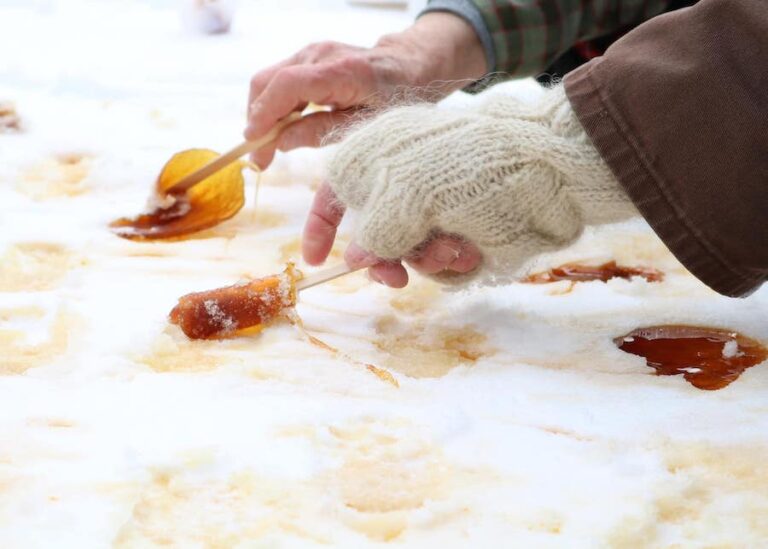 Maple taffy with Pollipop 768x549