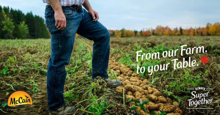 McCain from farm to table 768x402