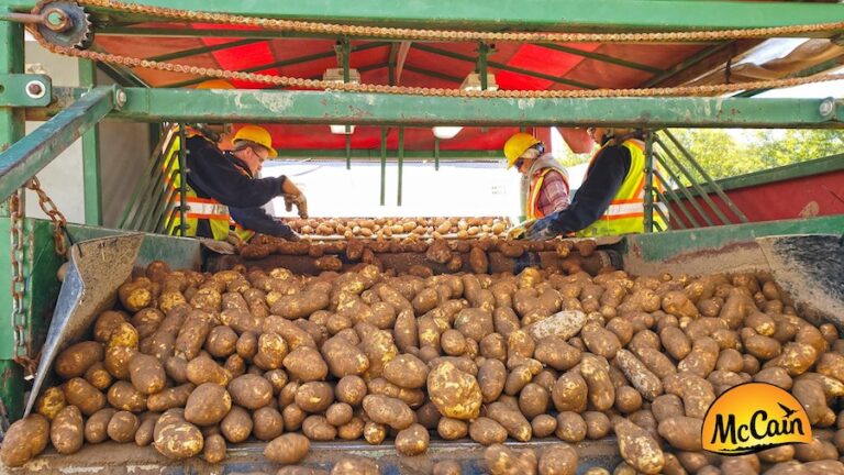 McCain potatoes 768x432