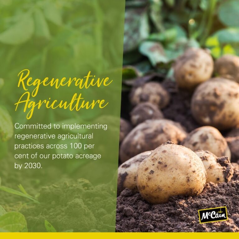 McCain regenerative agriculture 768x768