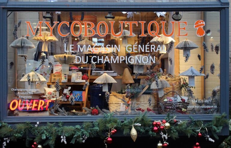 Mycoboutique window 768x492