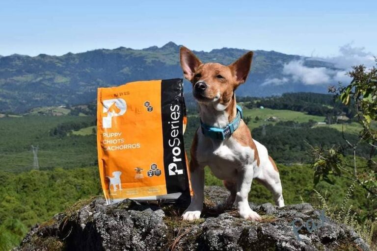 ProSeries Happy Hiker 768x512