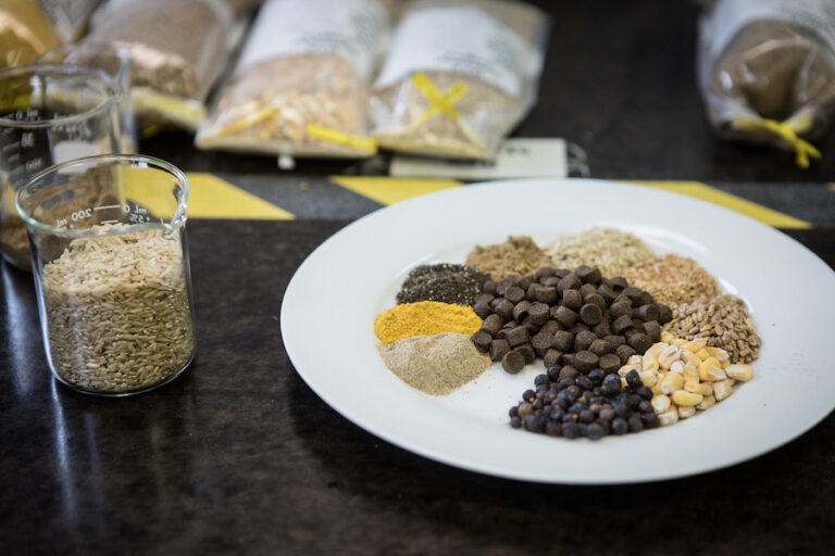 ProSeries ingredients 768x512