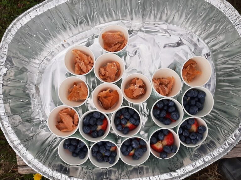 Under the Stump indigenous foods 768x576