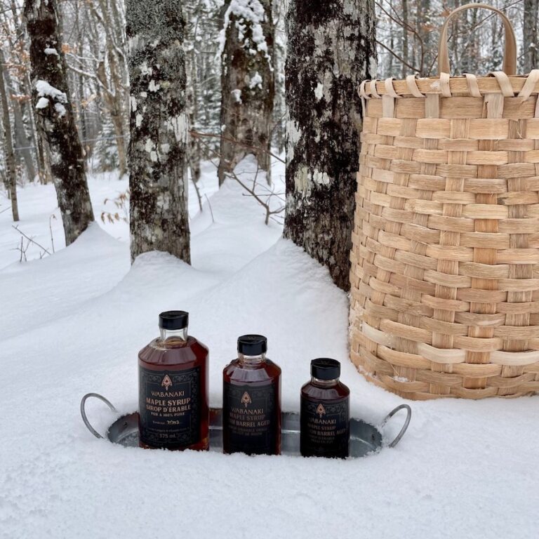 Wabanaki Maple in the snow 768x768