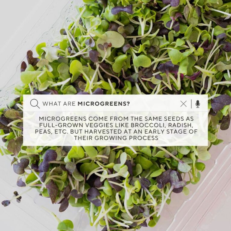 What are microgreens 768x768