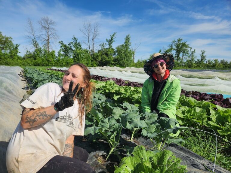 farming Completement Legume 768x576