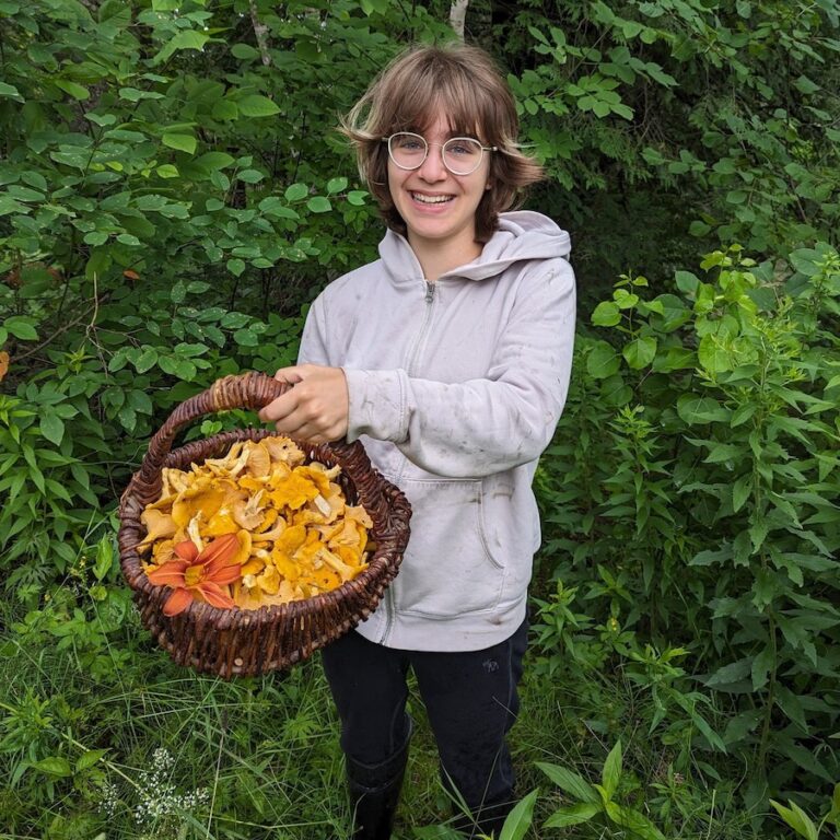 mushroom harvesting 768x768