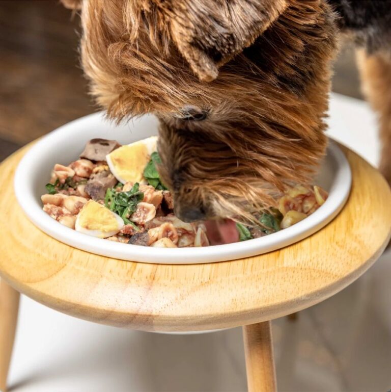 Screen Shot 2022 11 04 at 3.14.41 PM 768x769