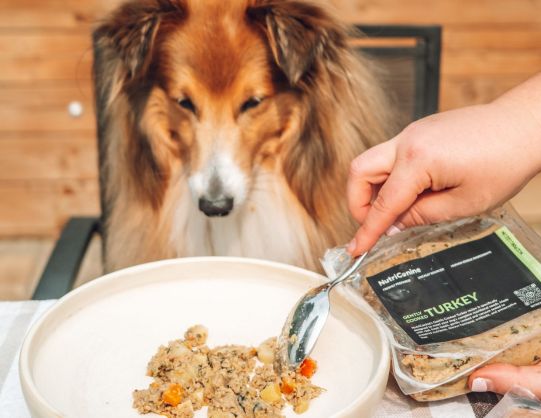 Website Homepage second image