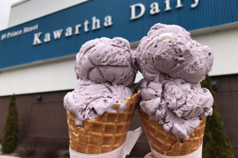 20240320 kawartha dairy toronto 768x512