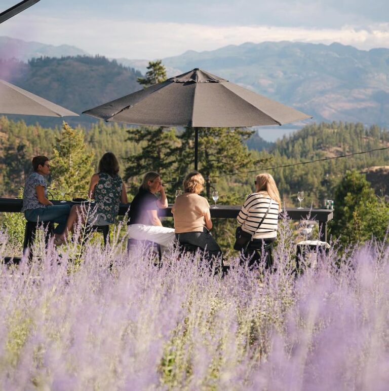 Wine with a view at Niche Wine Co min 768x771