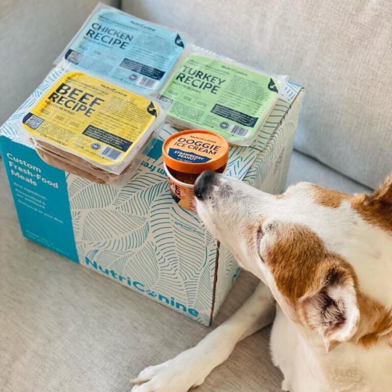 nutricanine delivery min 768x768