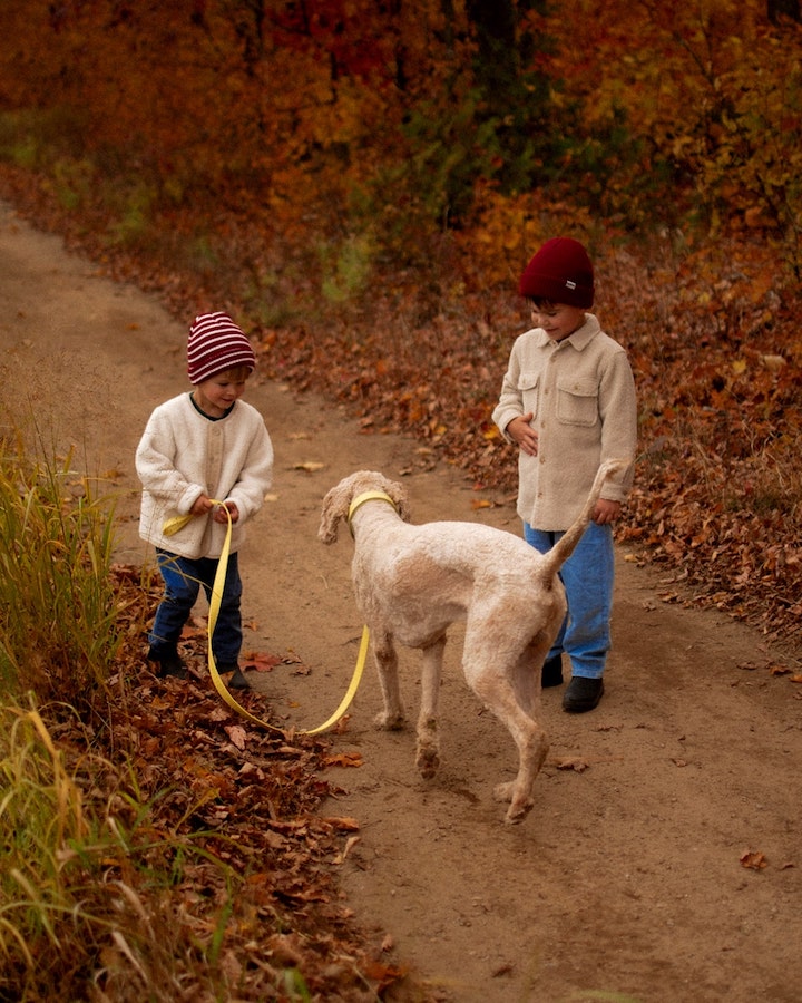 Caribou Toques min
