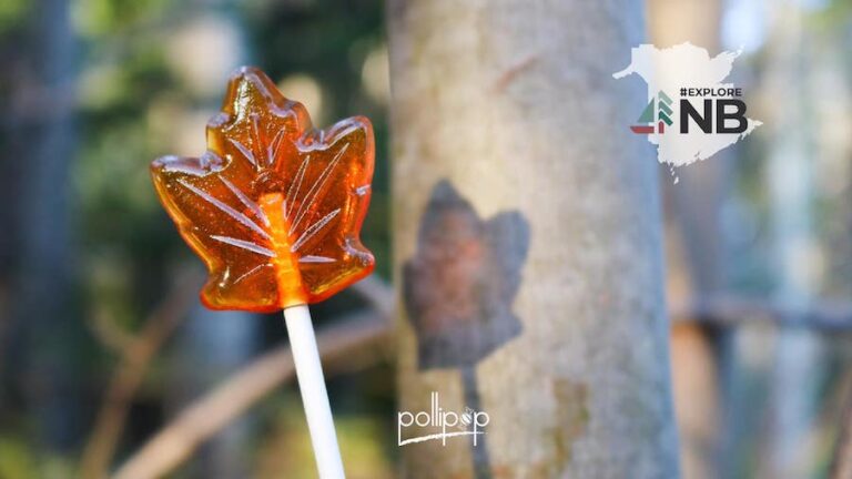 Explore New Bruswick with a Maple Pollipop 768x432