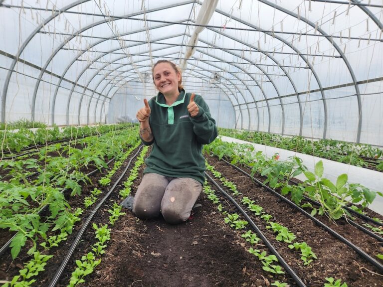 Happily growing in the Completement Legume greenhouse 768x576