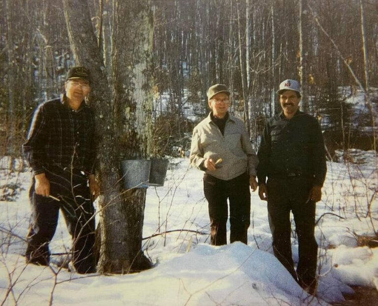 Harvesting the syrup Pollipop history 768x622