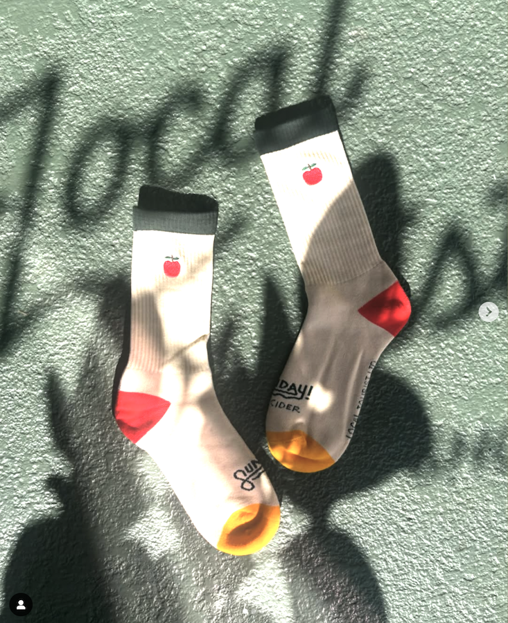 Local Tourist socks