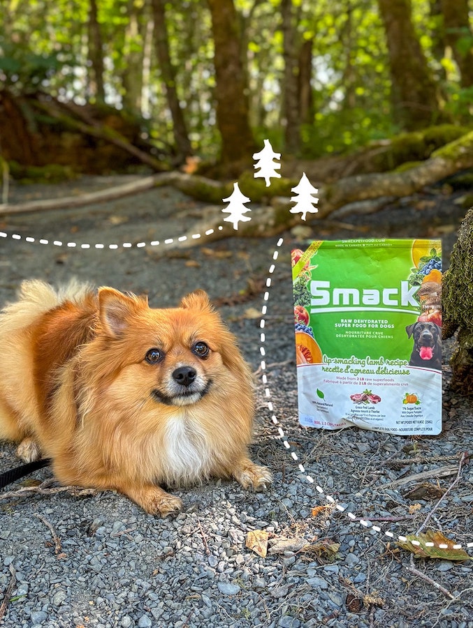 Smack Pet Food min