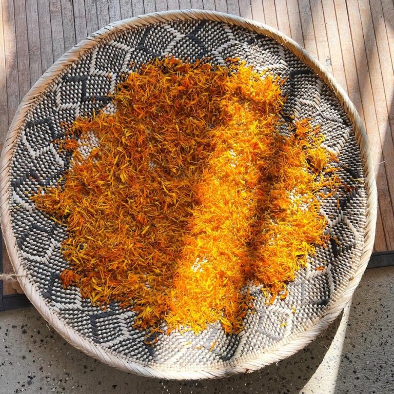 Wild Moon Organics calendula 768x768