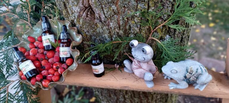 frogs eyeing rose hip oil 768x346